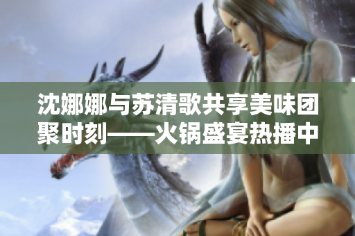 沈娜娜與蘇清歌共享美味團聚時刻——火鍋盛宴熱播中