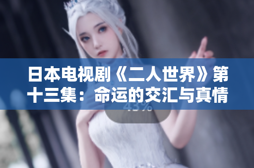日本電視劇《二人世界》第十三集：命運的交匯與真情的考驗
