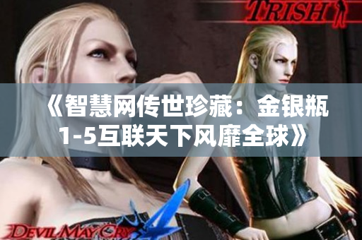 《智慧網(wǎng)傳世珍藏：金銀瓶1-5互聯(lián)天下風(fēng)靡全球》