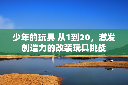 少年的玩具 從1到20，激發(fā)創(chuàng)造力的改裝玩具挑戰(zhàn)
