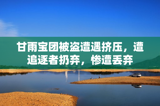 甘雨寶團被盜遭遇擠壓，遭追逐者扔棄，慘遭丟棄