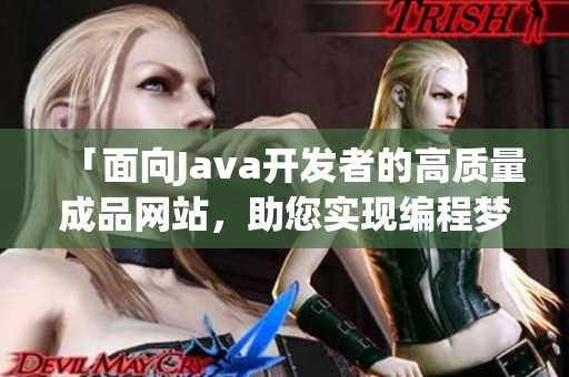 「面向Java開發(fā)者的高質量成品網站，助您實現編程夢想」