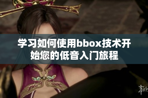 學(xué)習(xí)如何使用bbox技術(shù)開始您的低音入門旅程