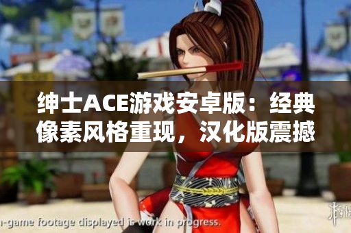 紳士ACE游戲安卓版：經(jīng)典像素風(fēng)格重現(xiàn)，漢化版震撼上線！