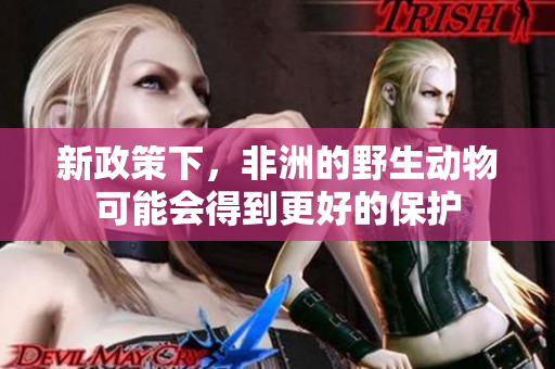 新政策下，非洲的野生動物可能會得到更好的保護
