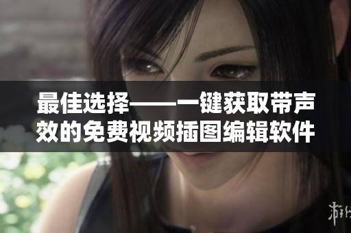 最佳選擇——一鍵獲取帶聲效的免費(fèi)視頻插圖編輯軟件