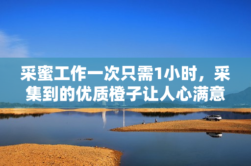 采蜜工作一次只需1小時(shí)，采集到的優(yōu)質(zhì)橙子讓人心滿意足