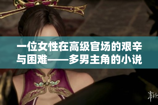 一位女性在高級官場的艱辛與困難——多男主角的小說推薦