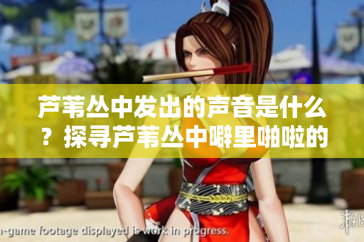 蘆葦叢中發(fā)出的聲音是什么？探尋蘆葦叢中噼里啪啦的奧秘